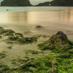 Irish Shoreline Irish Shoreline ALT